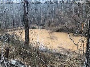 4th image of 1235 Green Valley Dr