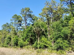 130 Harwood St, Georgetown, FL 32139