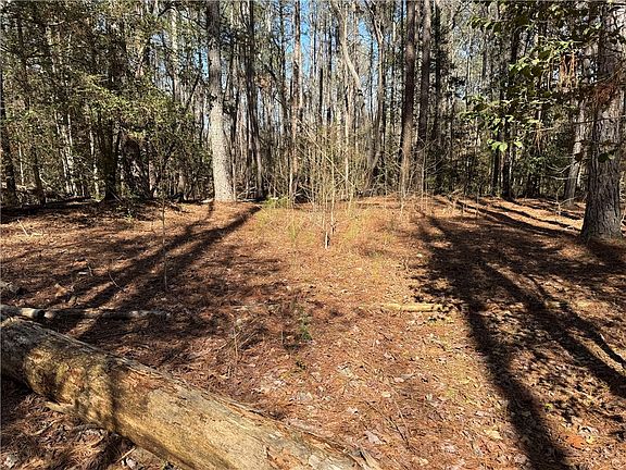 5th image of 0 Golden Hickory Drive