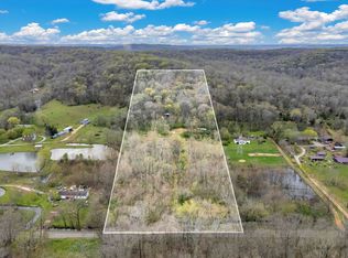 1540 Terrapin Branch Rd, Mount Pleasant, TN 38474