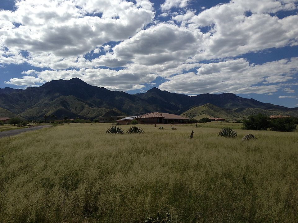 Huachuca Mountains view