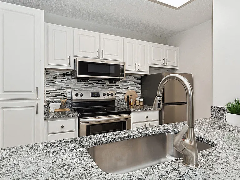 Seven Lakes at Carrollwood — Photo 7