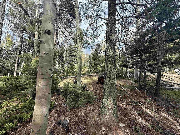 5th image of Lot 13 Back Basin Rd