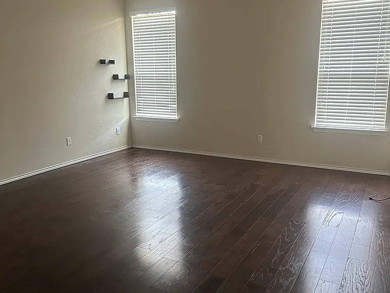 5301 Flatiron Dr — Photo 16