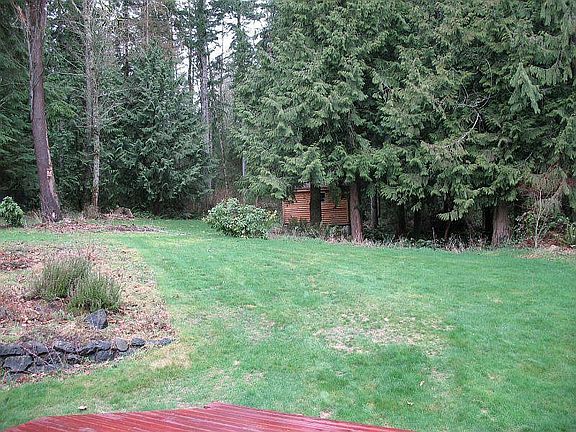 Large Yard