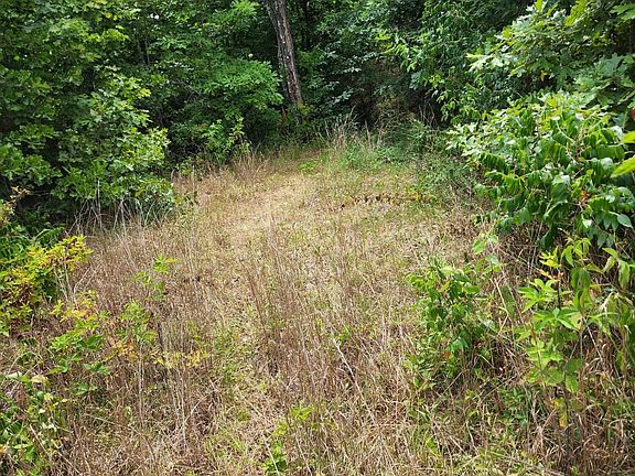 3rd image of 0000 County Road 580