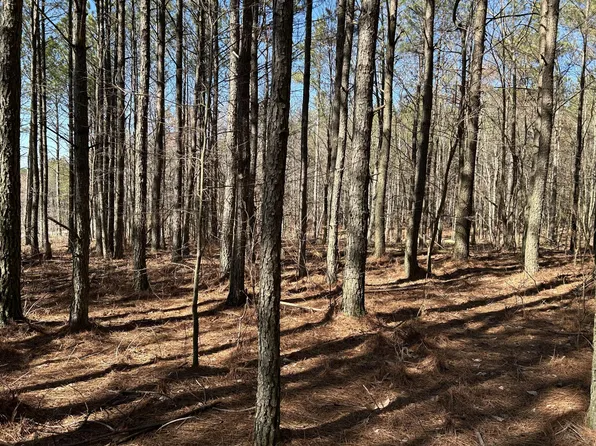 4210 Raulston Falls Rd #118, Jasper, TN 37347