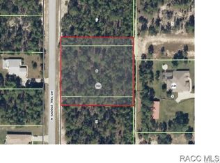4231 N Saddletree Dr, Beverly Hills, FL 34465