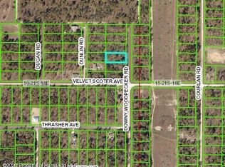 13665 Downy Woodpecker Rd, Weeki Wachee, FL 34614