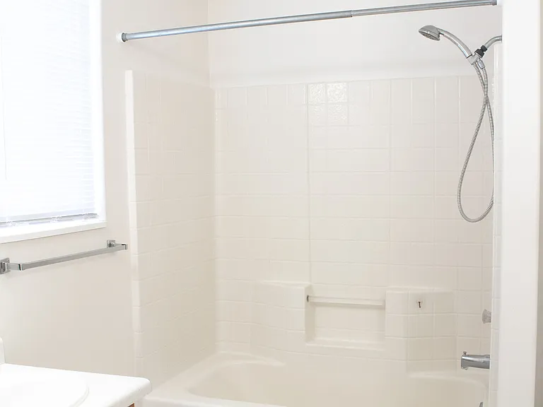 Master bathroom tub