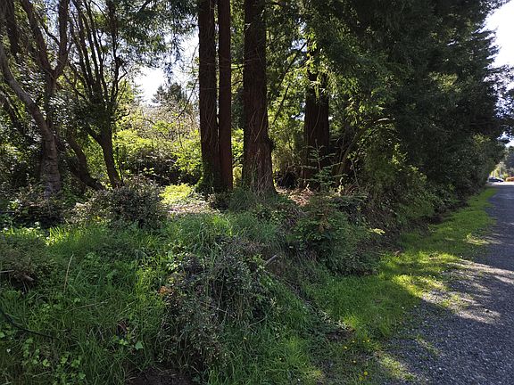 2nd image of 4581 Campton Rd