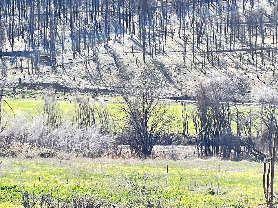 1st image of 21300 State Highway 96