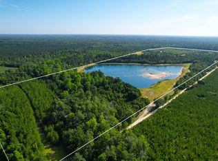 1 Beidler Frst, Dorchester, SC 29437