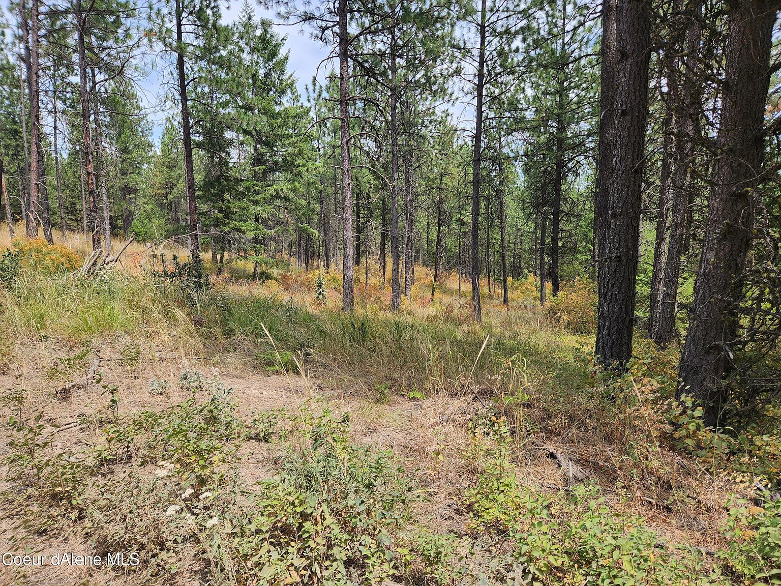 604 Shady Ln, Desmet, ID 83824 MLS 237406 Zillow