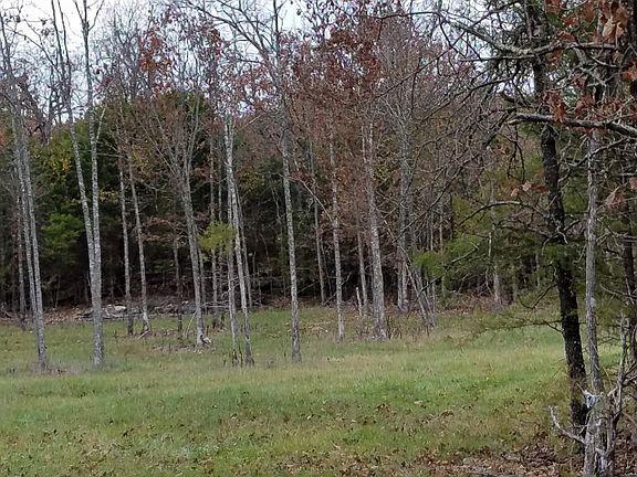 3rd image of 421 Wood Chase Ln