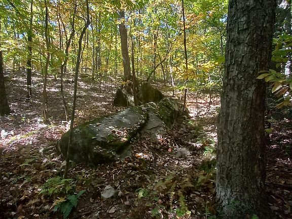 4th image of 0 Timberwood Trce Lot 310
