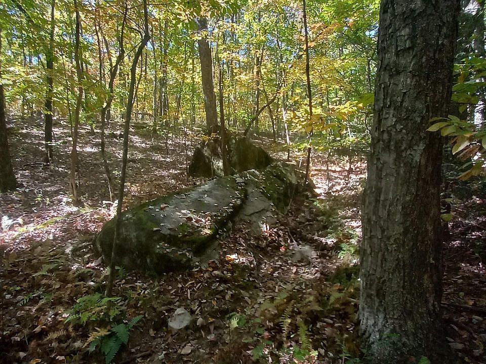 0 Timberwood Trce Monteagle, TN, 37356 Apartments for Rent Zillow