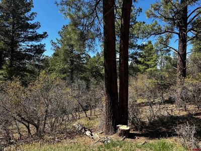 523 Oakridge Drive, Pagosa Springs, CO, 81147