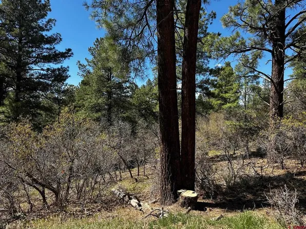 523 Oakridge Drive, Pagosa Springs, CO 81147