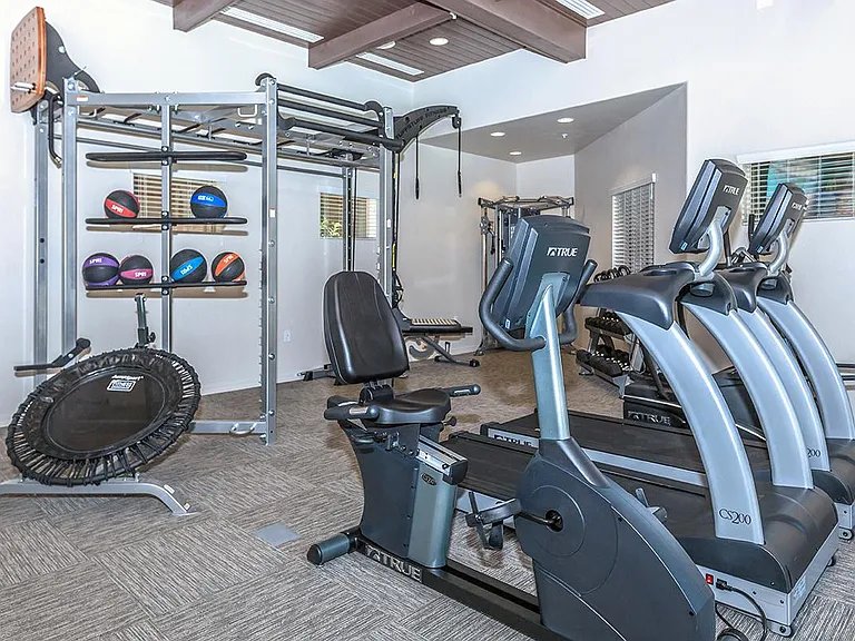 Fitness Equipment