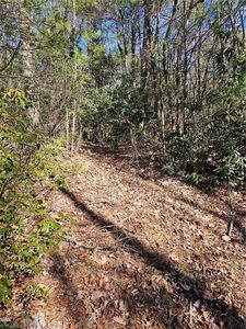 10 Carolina Rd, Millers Creek, NC, 28651