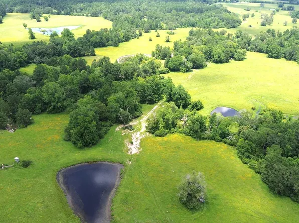 2068 County Road 3455, Lovelady, TX 75851