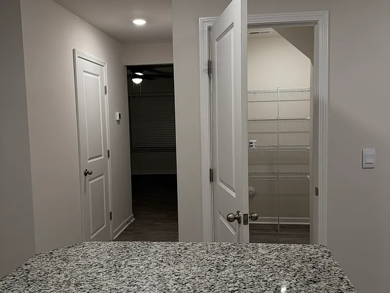Pantry/hallway/kitchen view
