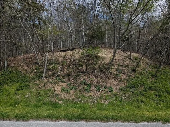 Bluff View Rd, New Tazewell, TN 37825