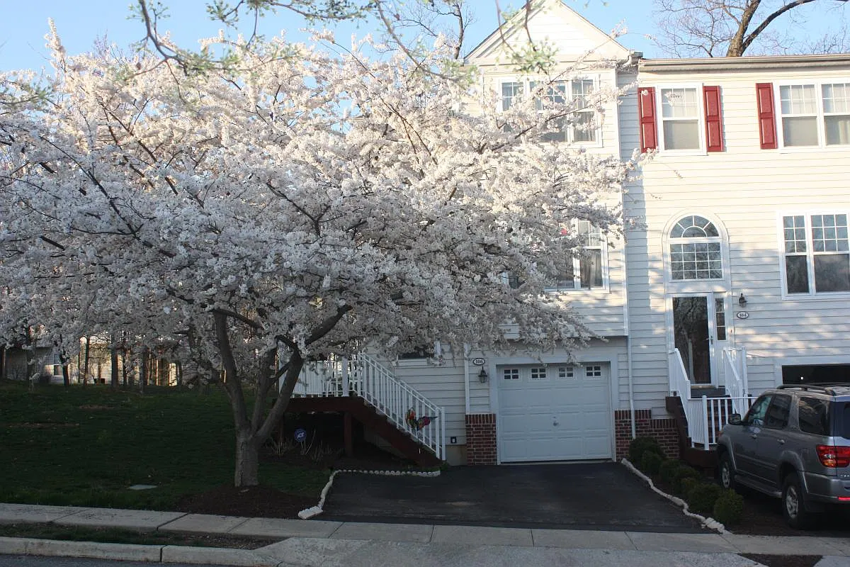 3 bed, 2.5 bath, 2720 sqft, $3,250 — Photo 2