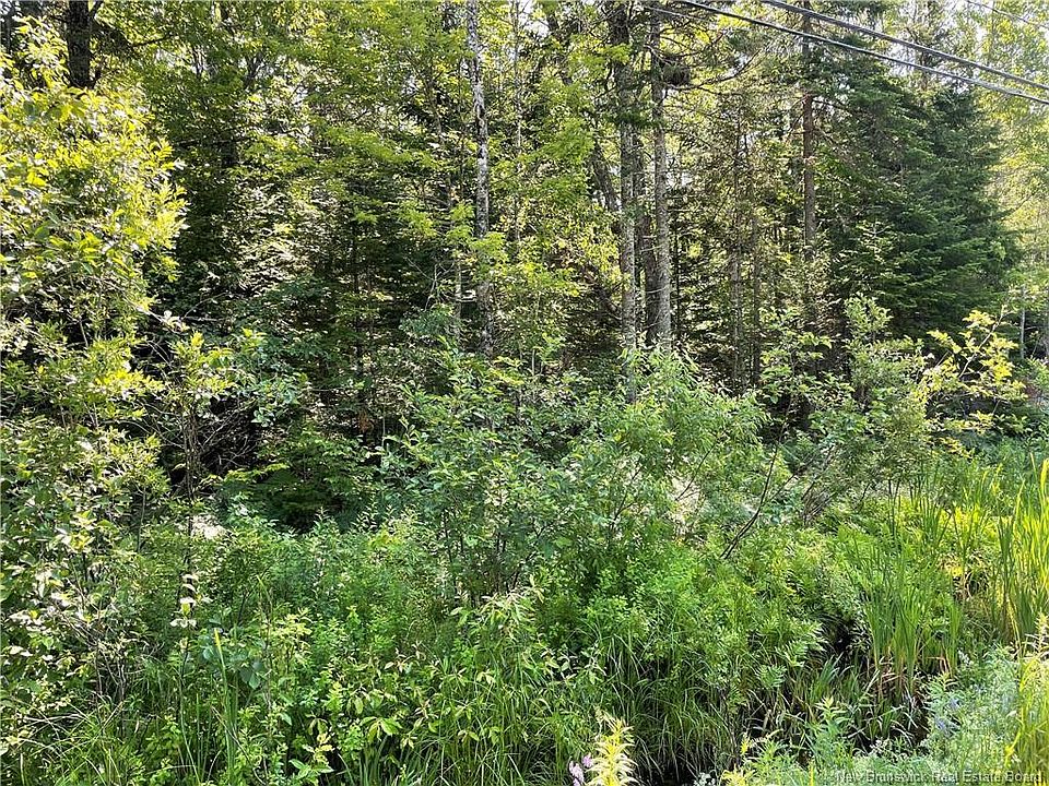2nd image of LOT 1 Route 490
