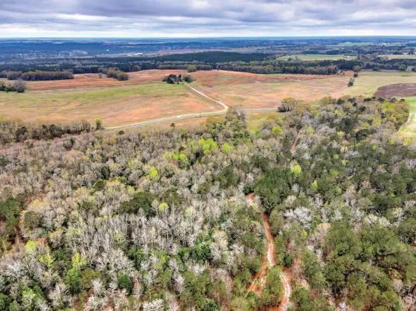 Mile Bridge Way Parcel 91AC, Johnston, SC 29832