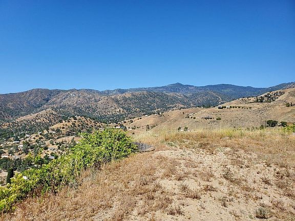 4th image of 1199 Bristlecone Dr