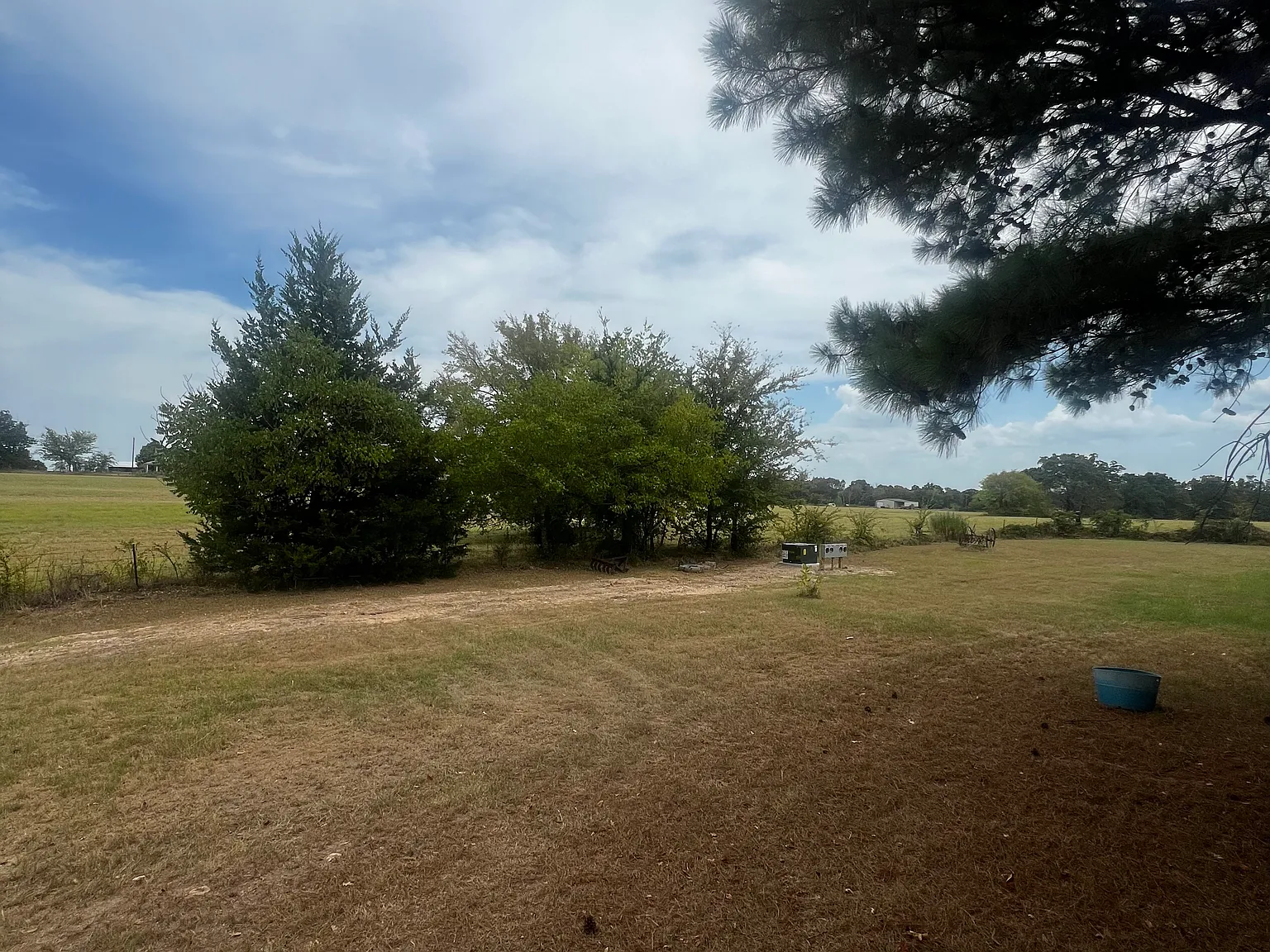 1 bed, $1,100 — Photo 4