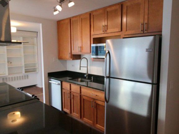 4th image of 1255 N Sandburg Ter Unit 501E