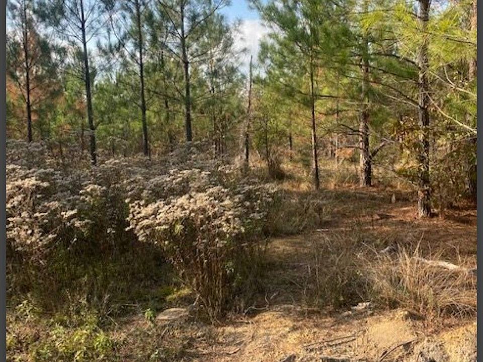 2nd image of 38 Hidden Pines Loop