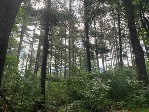 22.35AC ON BEAVER AVENUE, Nekoosa, WI 54457