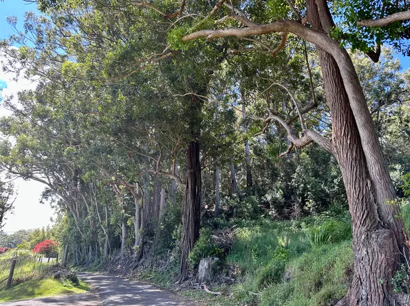 Kaapahu Rd Lot 6, Honokaa, HI 96727
