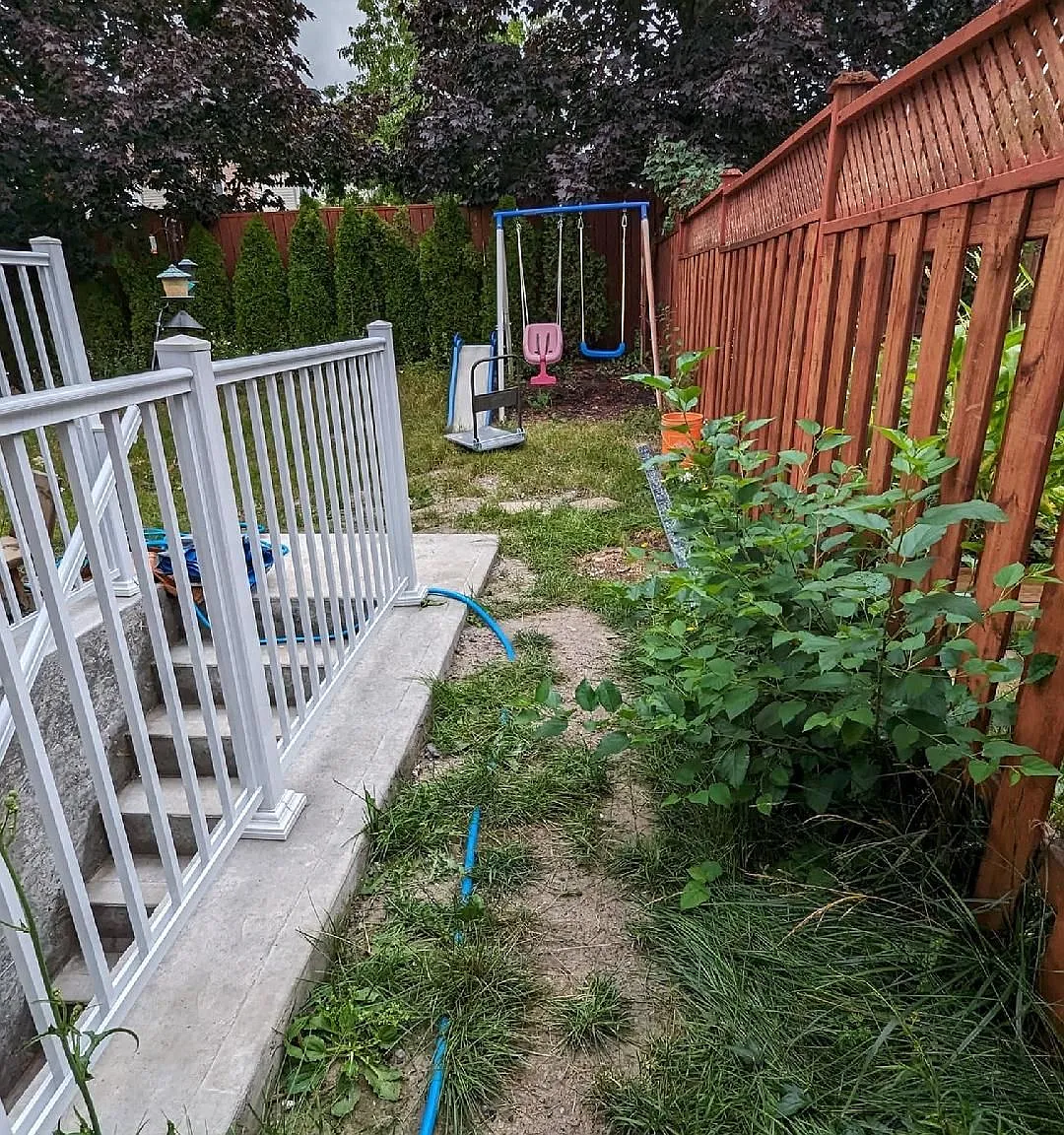1 bed, $1,300 — Photo 3