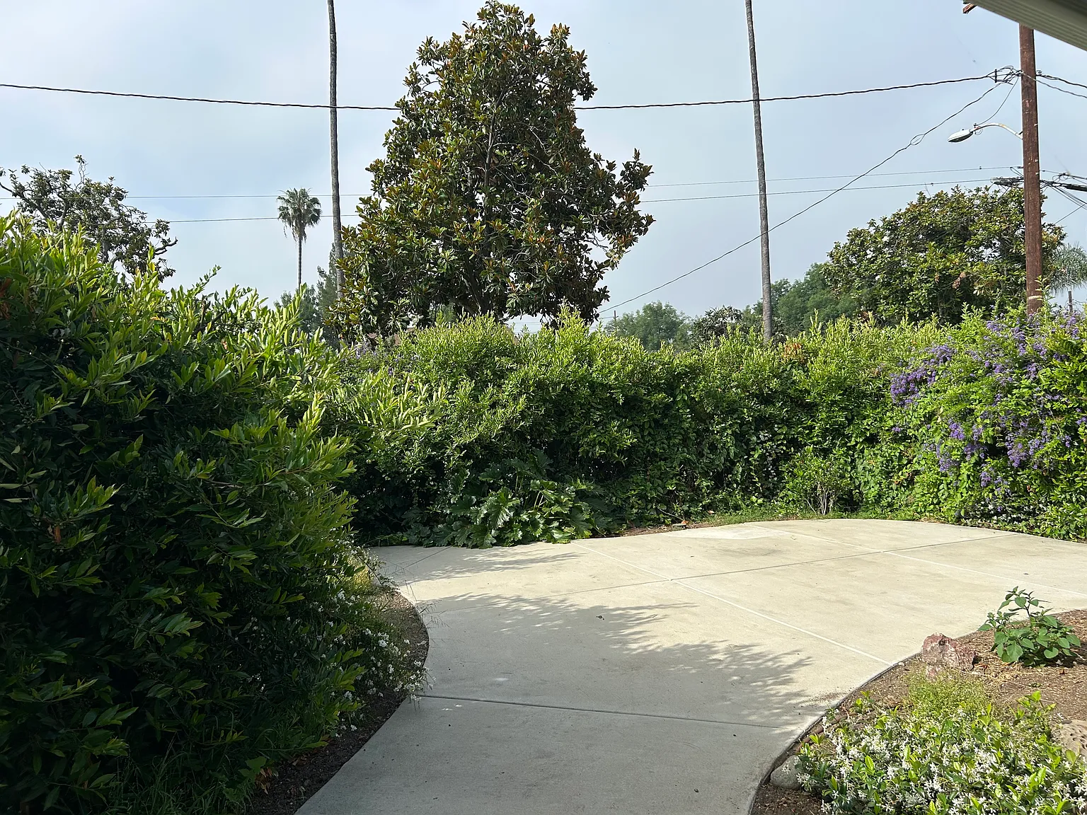 2 bed, 1640 sqft, $3,000 — Photo 2