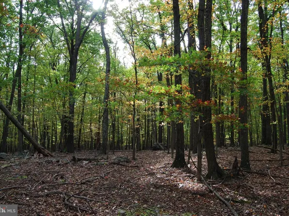 Terrain Dr, Hedgesville, WV 25427