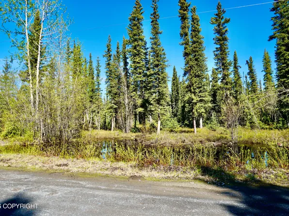 L2 4th St, Glennallen, AK 99588