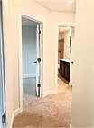 1108 Laceflower Ln — Photo 14