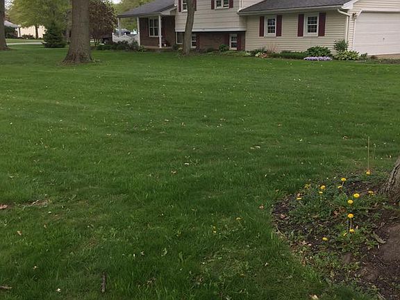 4th image of 115 Robinwood Dr