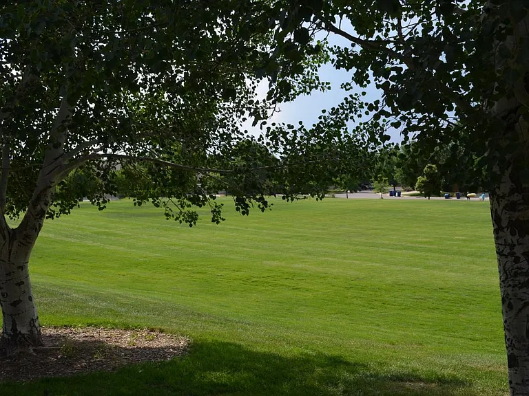 Park Space
