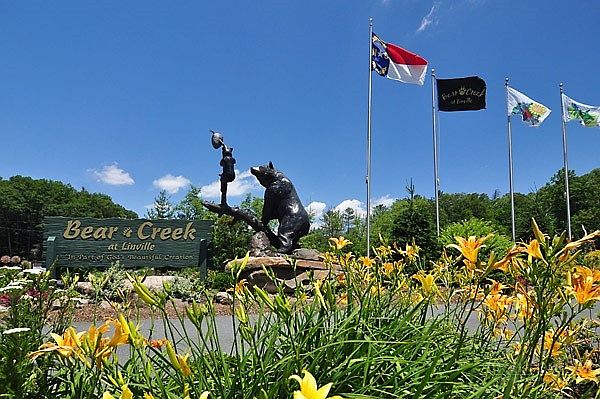1st image of 287 Cougar Run