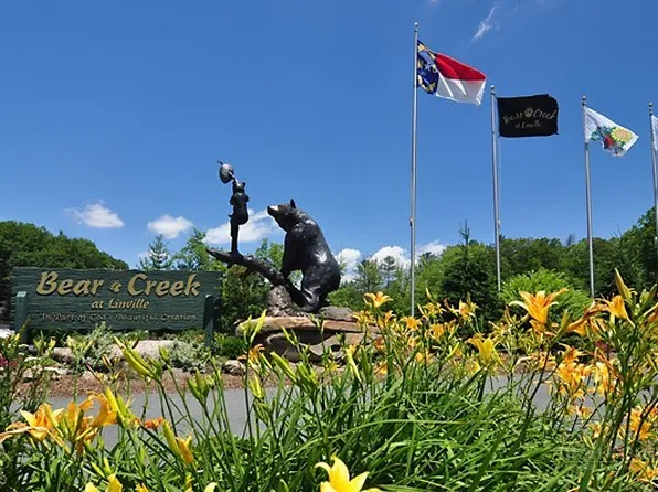 287 Cougar Run, Linville, NC 28646