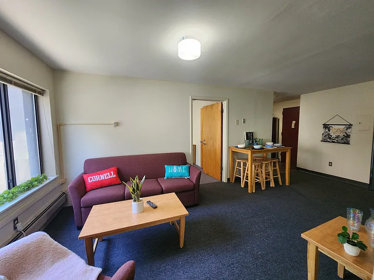 Collegetown Court, 208 Dryden Road — Photo 129