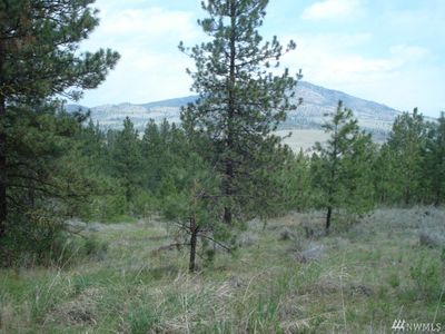 100 Patterson Creek Rd, Tonasket, WA, 98855