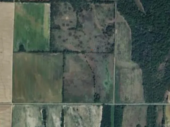 (undisclosed Address), Cotton Plant, AR 72036