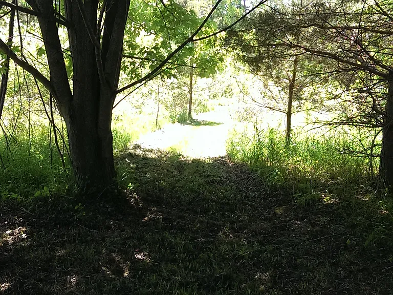 4772 Bailey Bridge Rd — Photo 25